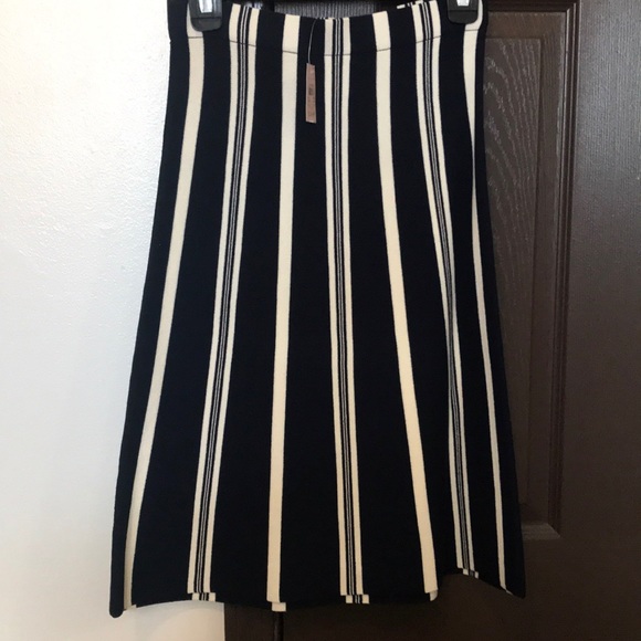 Ann Taylor NWT skirt - Picture 1 of 3